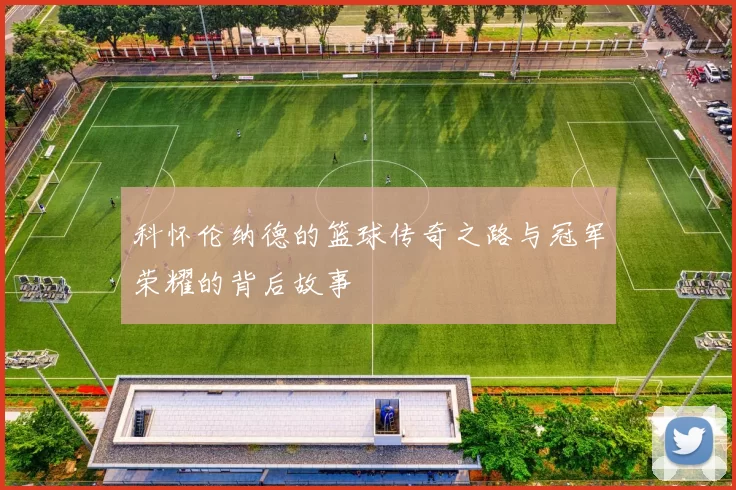 科怀伦纳德的篮球传奇之路与冠军荣耀的背后故事
