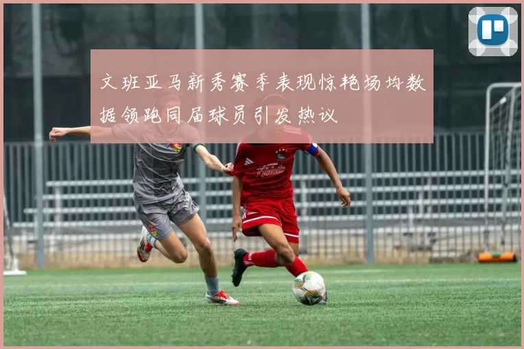 文班亚马新秀赛季表现惊艳场均数据领跑同届球员引发热议