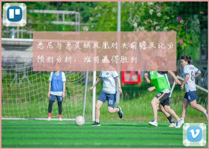 悉尼与惠灵顿凤凰对决前瞻及比分预测分析，谁将赢得胜利