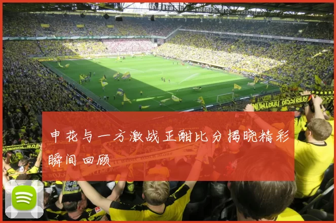 申花与一方激战正酣比分揭晓精彩瞬间回顾